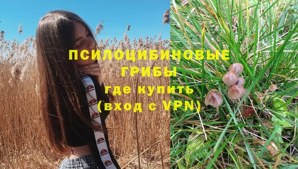 spice Алексин