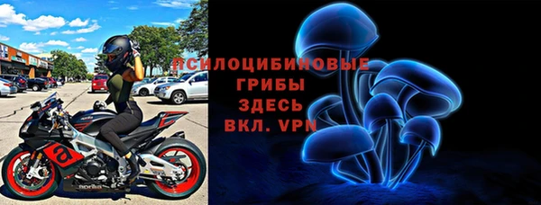 spice Алексин