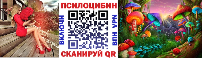 даркнет сайт  Болохово  Псилоцибиновые грибы GOLDEN TEACHER 